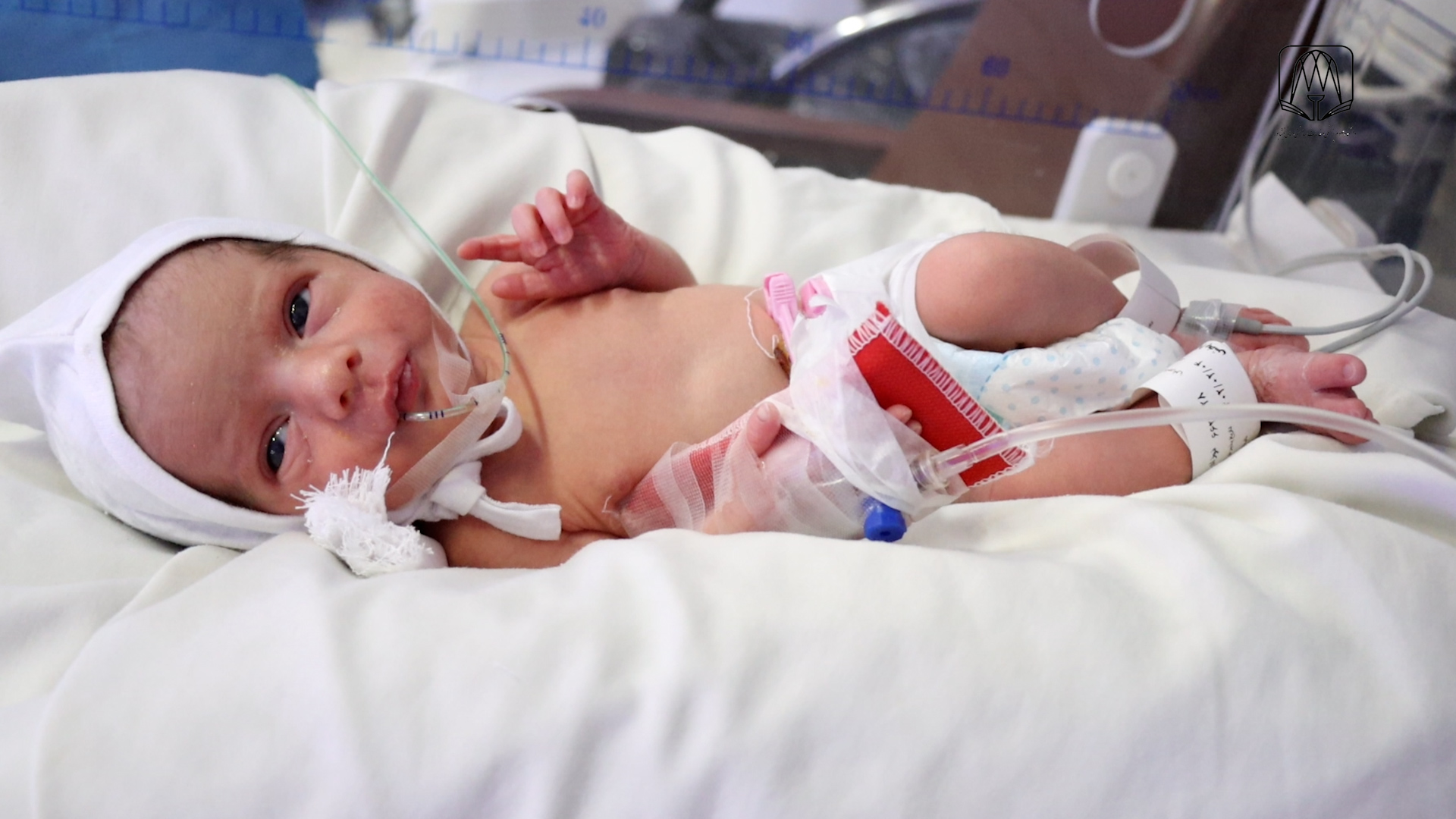 MVI 254100 00 09 22Still003